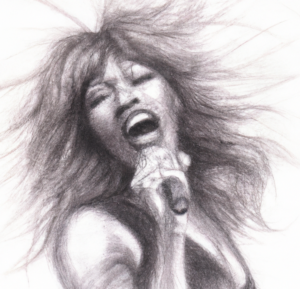 Tina Turner cantante 